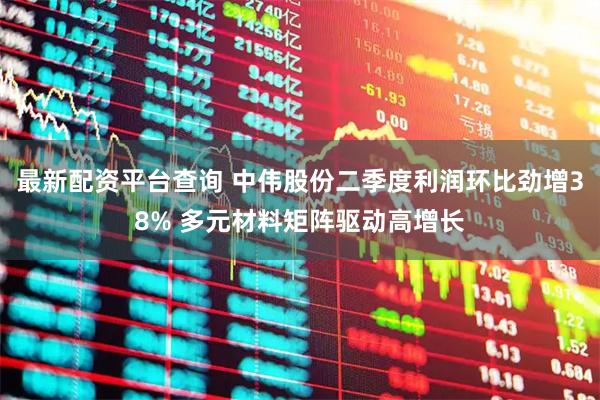 最新配资平台查询 中伟股份二季度利润环比劲增38% 多元材料矩阵驱动高增长