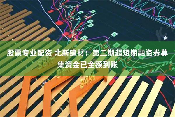 股票专业配资 北新建材：第二期超短期融资券募集资金已全额到账