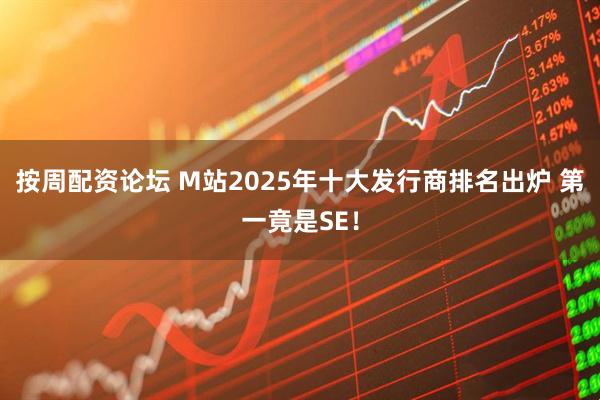按周配资论坛 M站2025年十大发行商排名出炉 第一竟是SE！